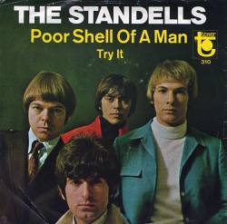 The Standells : Try It - Poor Shell Of A Man